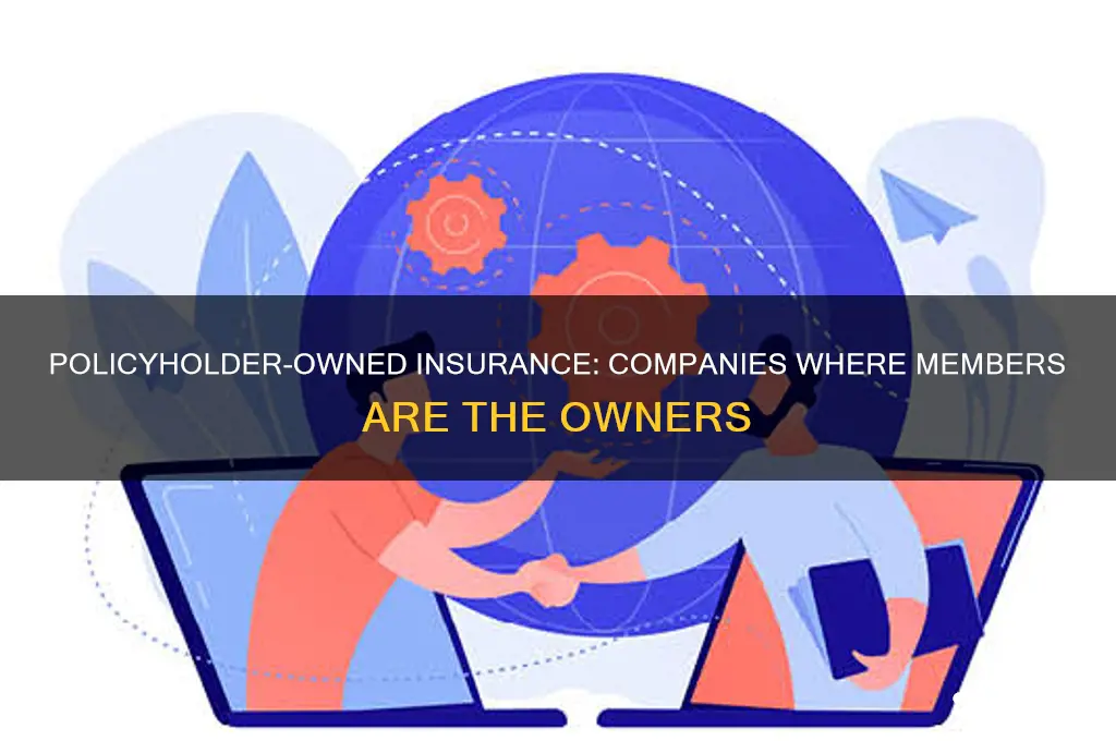 which insurance companies are owned by policyholders