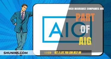 Exploring AIG's Network: Affiliated Insurance Companies Unveiled