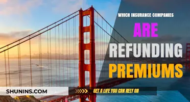 Insurance Premium Refunds: Which Companies Are Giving Back?