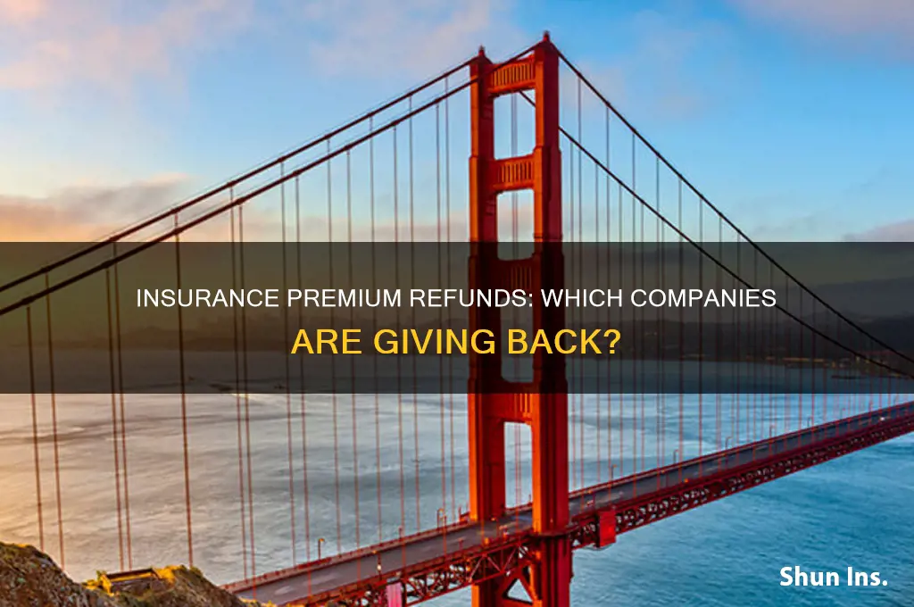 which insurance companies are refunding premiums