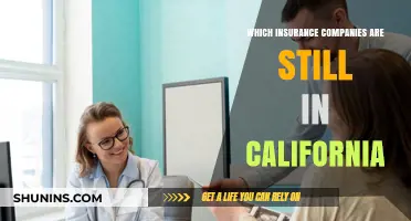 California Insurance Update: Which Companies Remain in the Golden State?