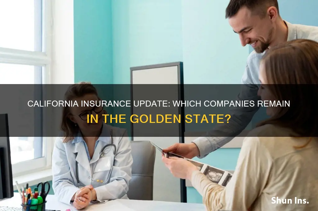 which insurance companies are still in california