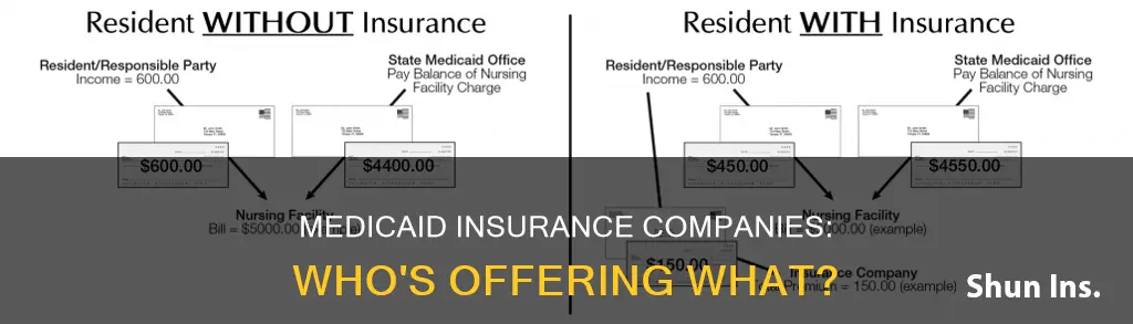 which insurance companies are with medicaid