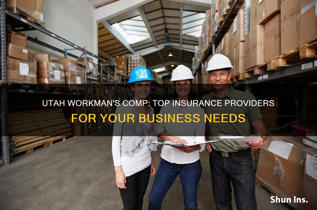which insurance companies can you get workman
