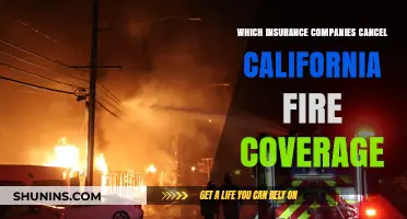 California Fire Coverage Cancellations: Which Insurers Are Pulling Out?