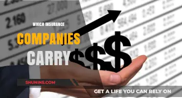Top Insurance Carriers: Which Companies Offer the Best Coverage?