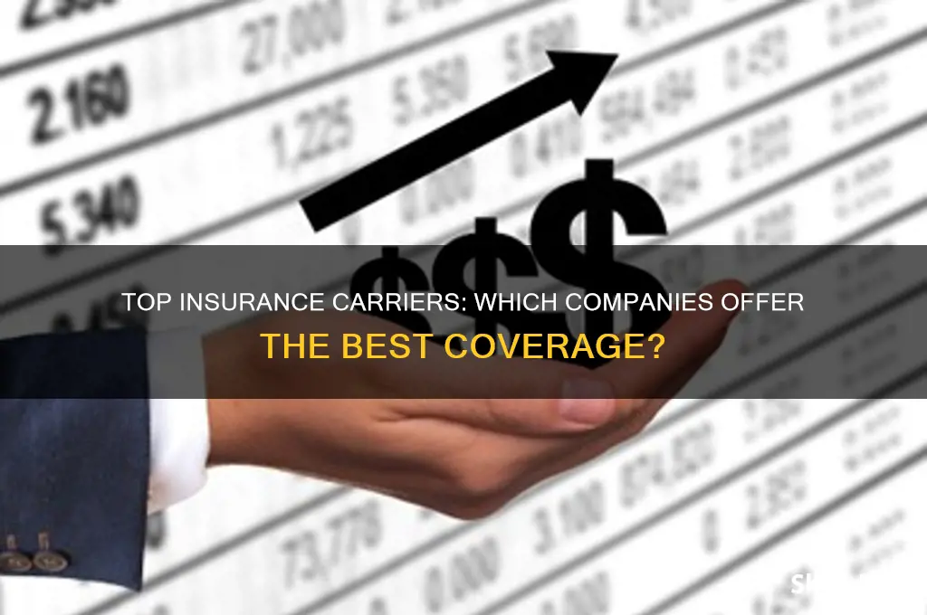 which insurance companies carry