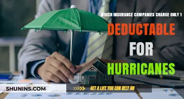 Hurricane Insurance: Companies Charging Single Deductible for Storm Damage