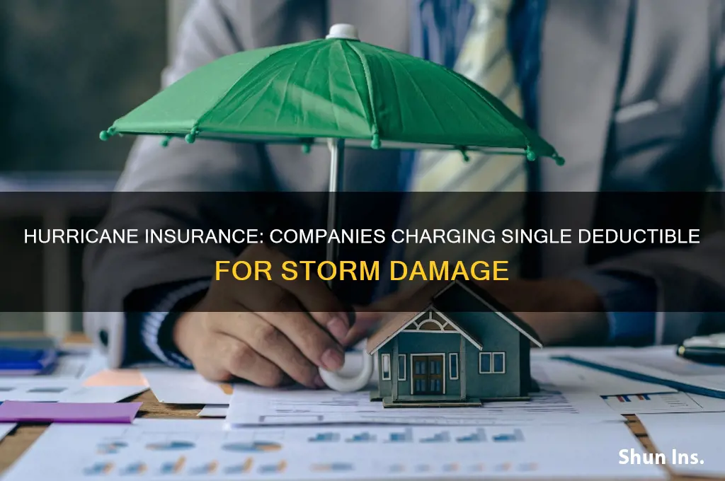 which insurance companies charge only 1 deductable for hurricanes