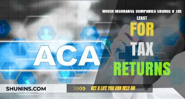 Affordable Tax Return Insurance: Top Companies with Lowest Rates