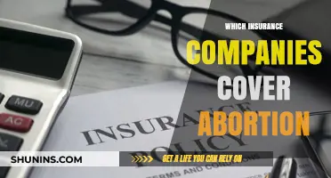 Abortion Coverage: Which Insurance Providers Offer Comprehensive Policies?