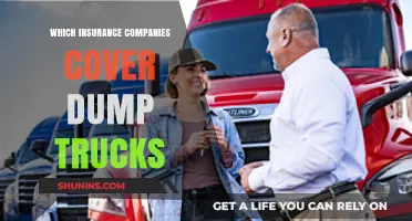 Top Insurance Providers Offering Coverage for Dump Trucks: A Comprehensive Guide