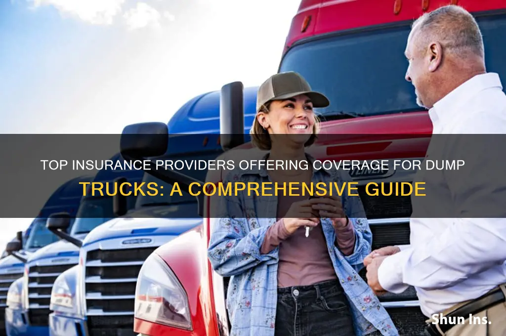 which insurance companies cover dump trucks