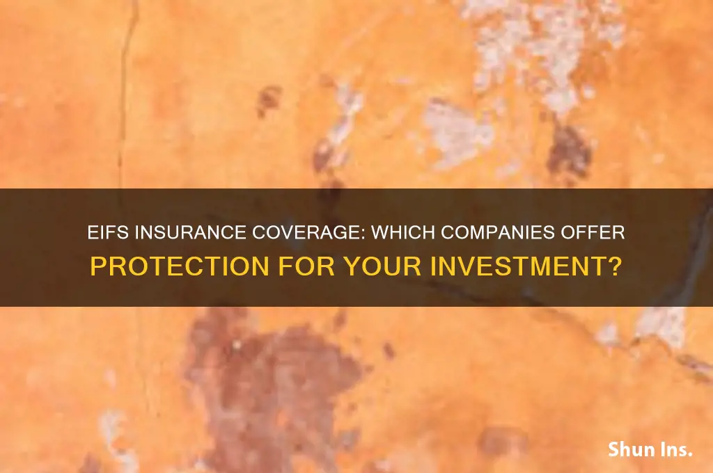 which insurance companies cover eifs
