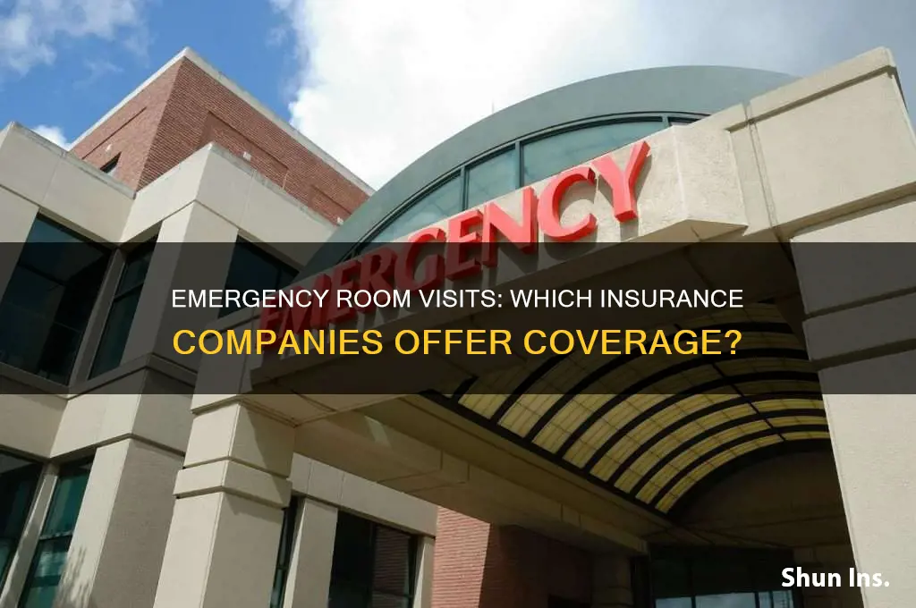 which insurance companies cover er visits