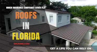 Florida Flat Roof Insurance: Companies Offering Coverage for Homeowners