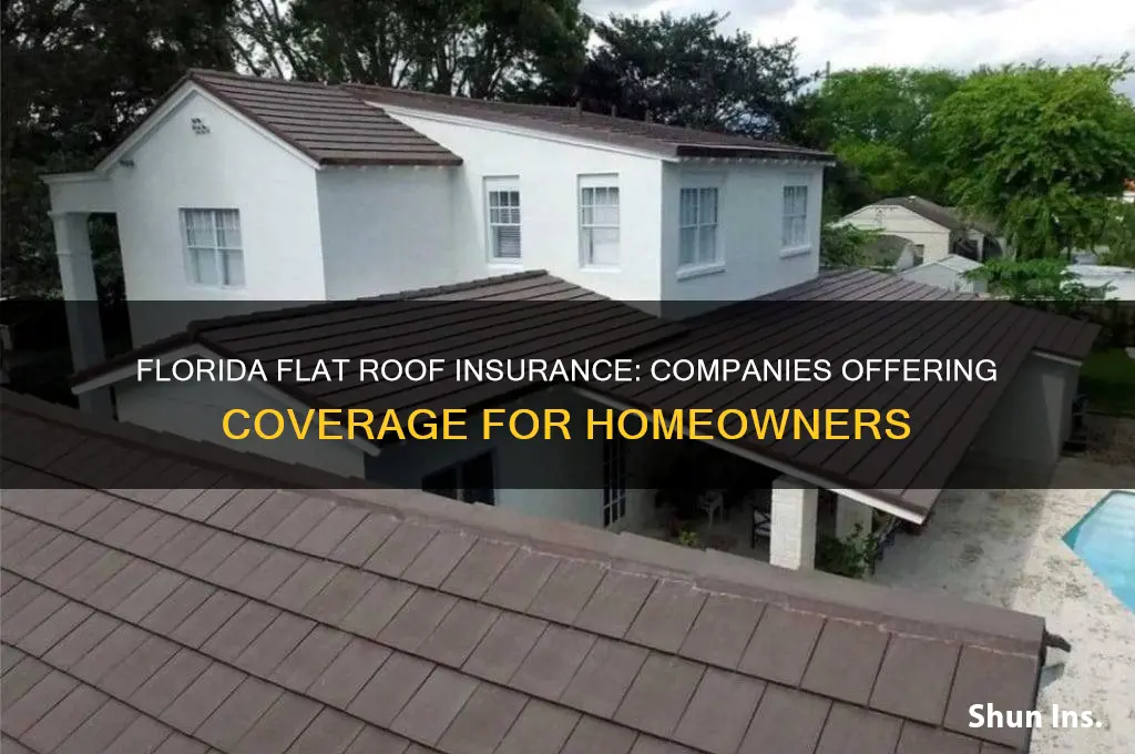 which insurance companies cover flat roofs in florida