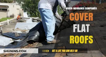 Flat Roof Insurance: Top Companies Offering Coverage for Your Home