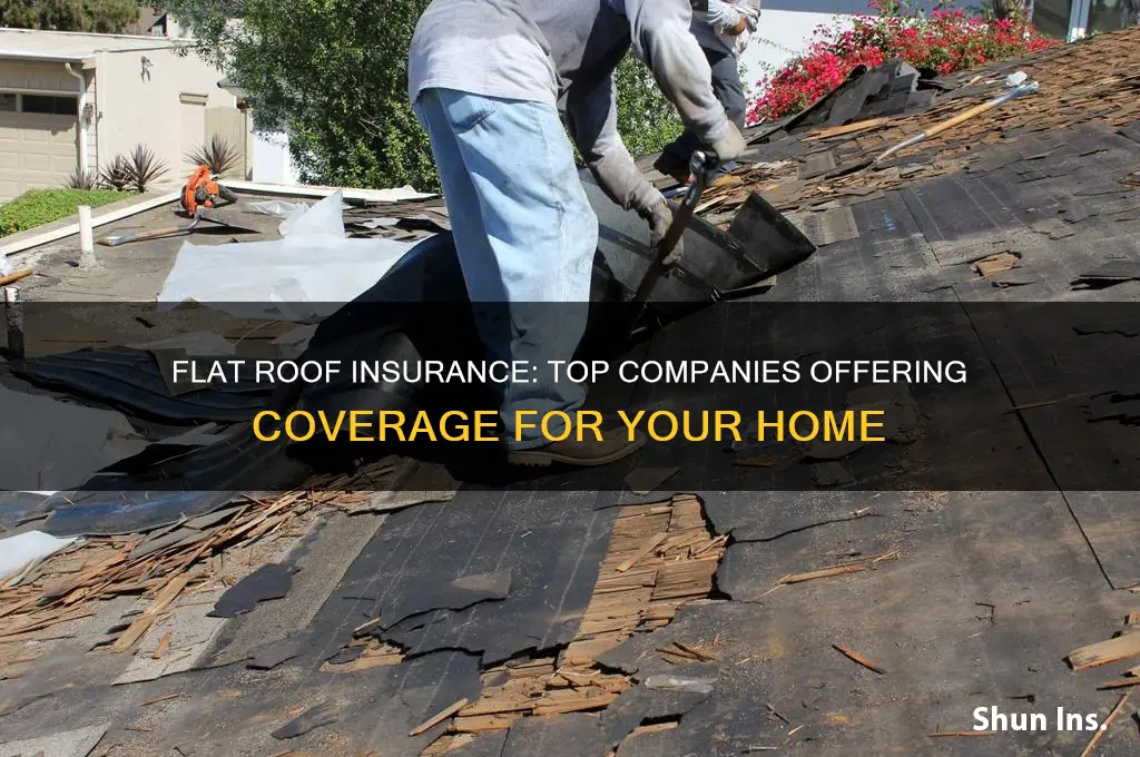 which insurance companies cover flat roofs