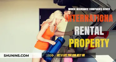 Top Insurance Providers for International Rental Property Coverage