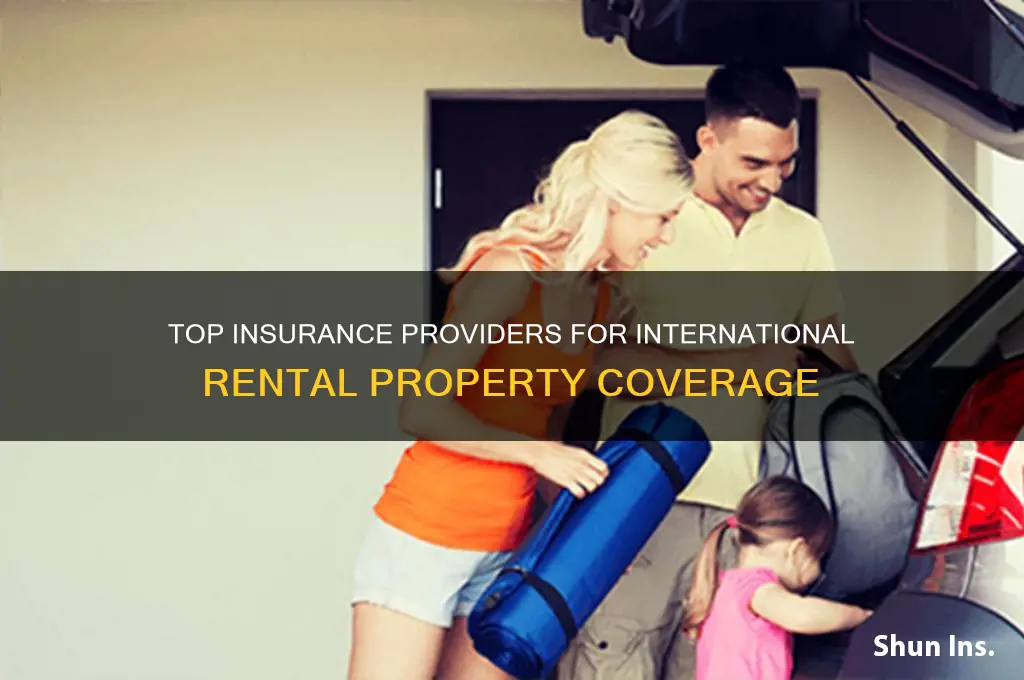 which insurance companies cover international rental property