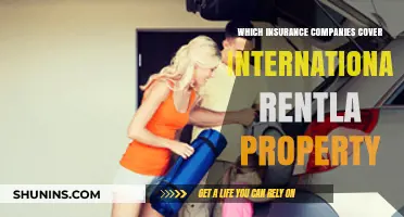 Top Insurance Providers for International Rental Property Coverage