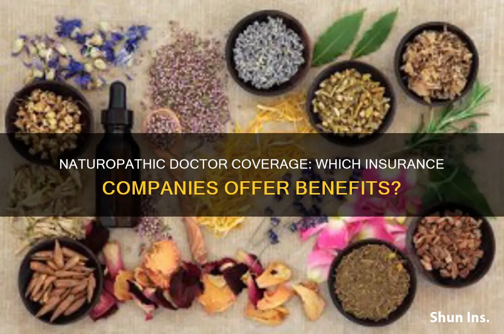 which insurance companies cover naturopathic doctors