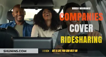 Ridesharing Insurance Coverage: Which Companies Offer Protection for Drivers?