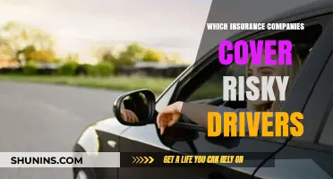 High-Risk Drivers: Which Insurance Companies Offer Coverage Options?