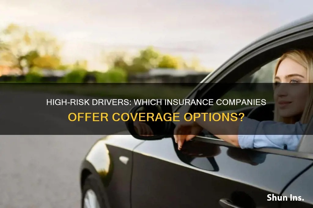 which insurance companies cover risky drivers