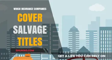 Salvage Title Insurance: Which Companies Offer Coverage for Rebuilt Vehicles?