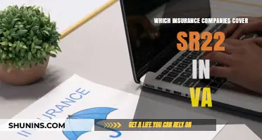 Virginia SR22 Insurance: Top Companies Offering Coverage in VA