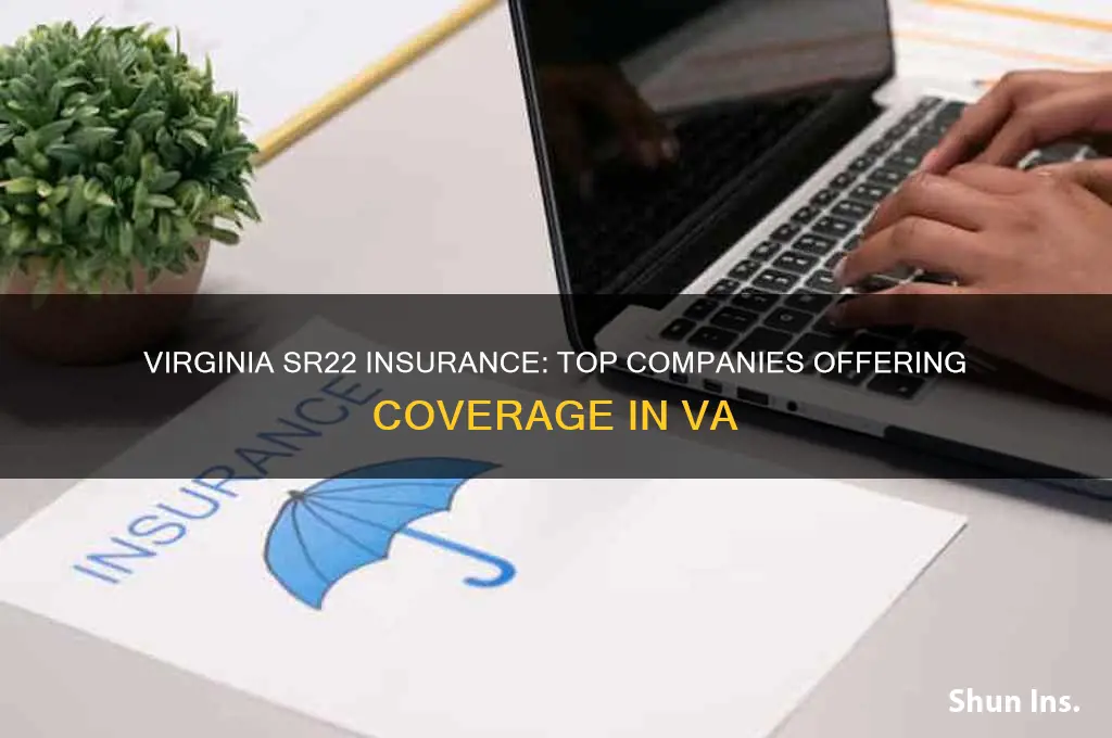 which insurance companies cover sr22 in va