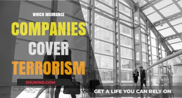 Terrorism Coverage: Which Insurance Companies Offer Protection?