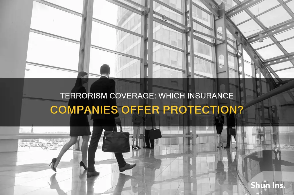 which insurance companies cover terrorism