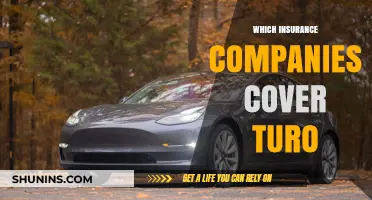Top Insurance Providers Offering Turo Coverage: A Comprehensive Guide