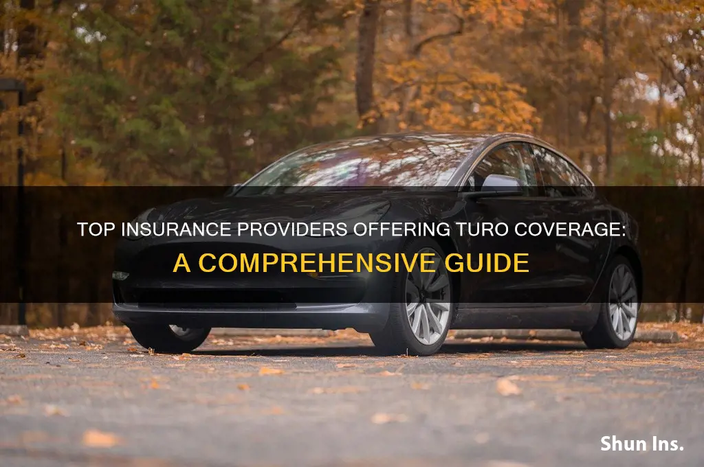 which insurance companies cover turo