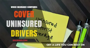 Uninsured Driver Coverage: Which Insurance Companies Have You Protected?