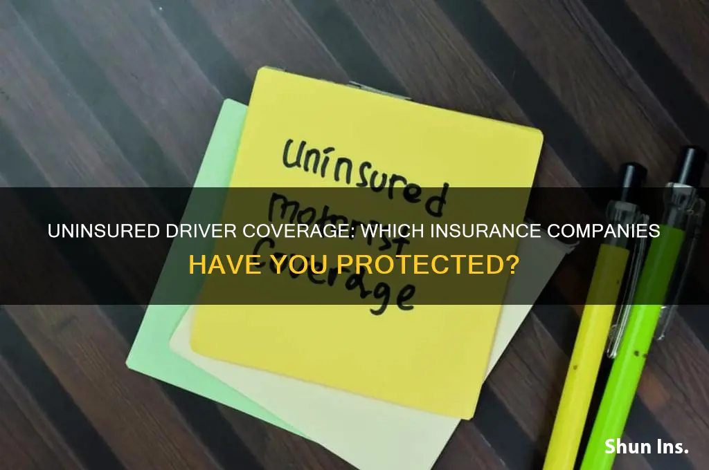 which insurance companies cover uninsured drivers