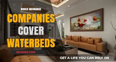 Waterbed Insurance Coverage: Which Companies Offer Protection?