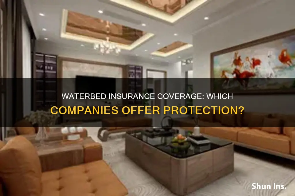 which insurance companies cover waterbeds