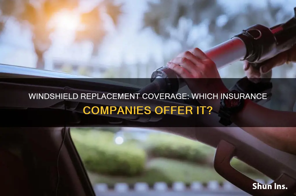which insurance companies cover windshield replacement