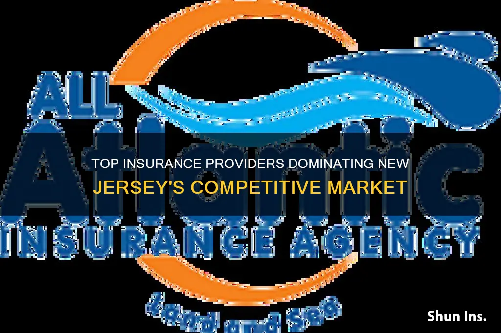 which insurance companies do most business in nj