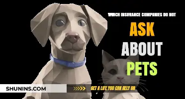 Pet-Friendly Policies: Insurance Companies That Skip Pet Questions
