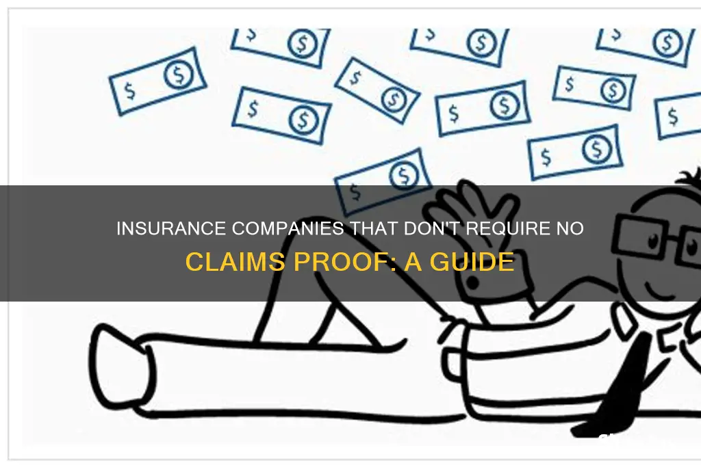 which insurance companies do not ask for no claims proof