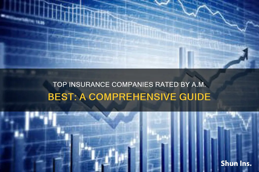 which insurance companies does am best rate