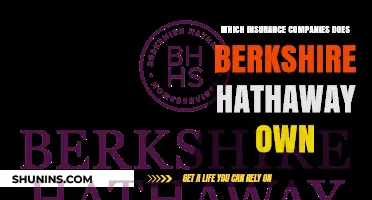Berkshire Hathaway's Insurance Empire: A Comprehensive List of Owned Companies