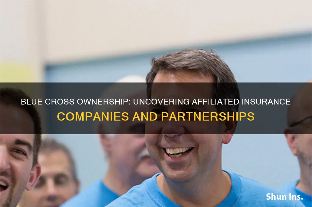 which insurance companies does blue cross own