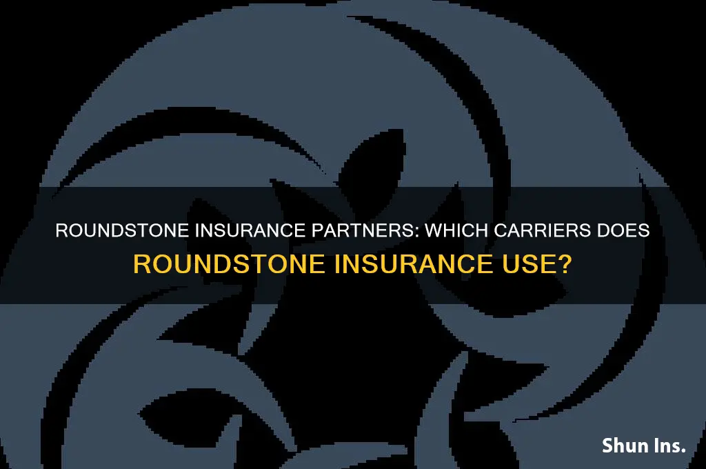 which insurance companies does roundstone insurance use