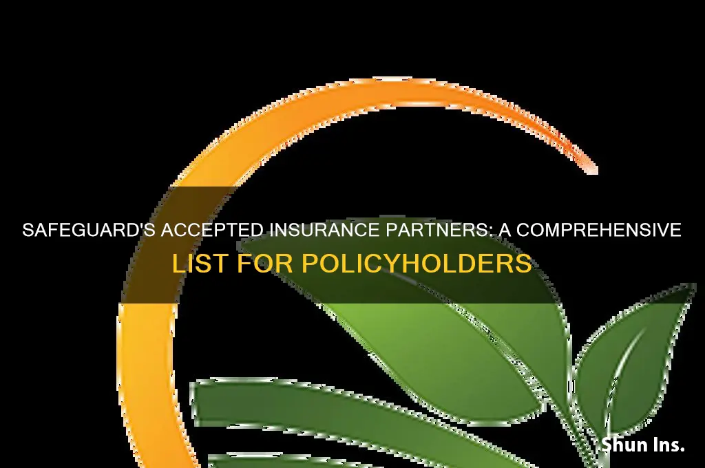 which insurance companies does safeguard accept